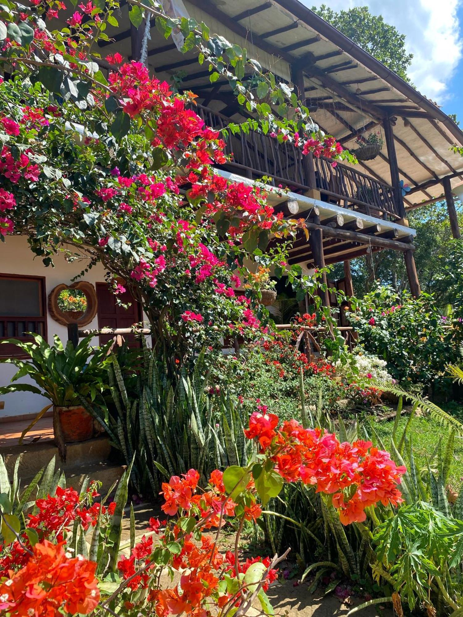 Hostal Villa San Rafael Баричара Экстерьер фото